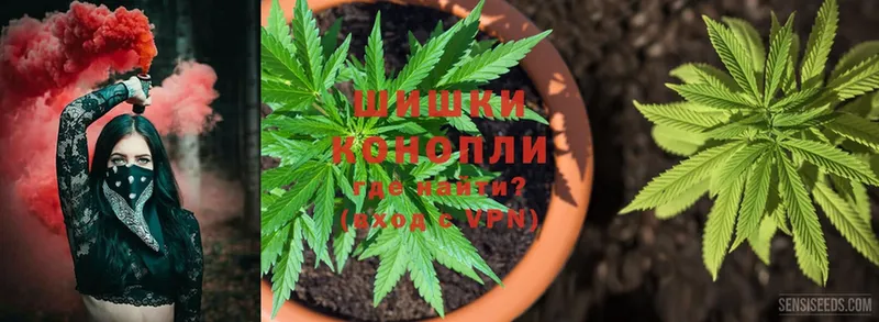 магазин продажи   Беломорск  Бошки Шишки White Widow 